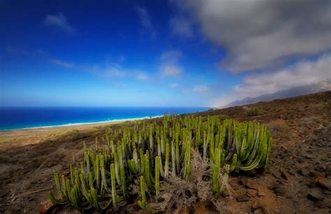 temp canary islands january.